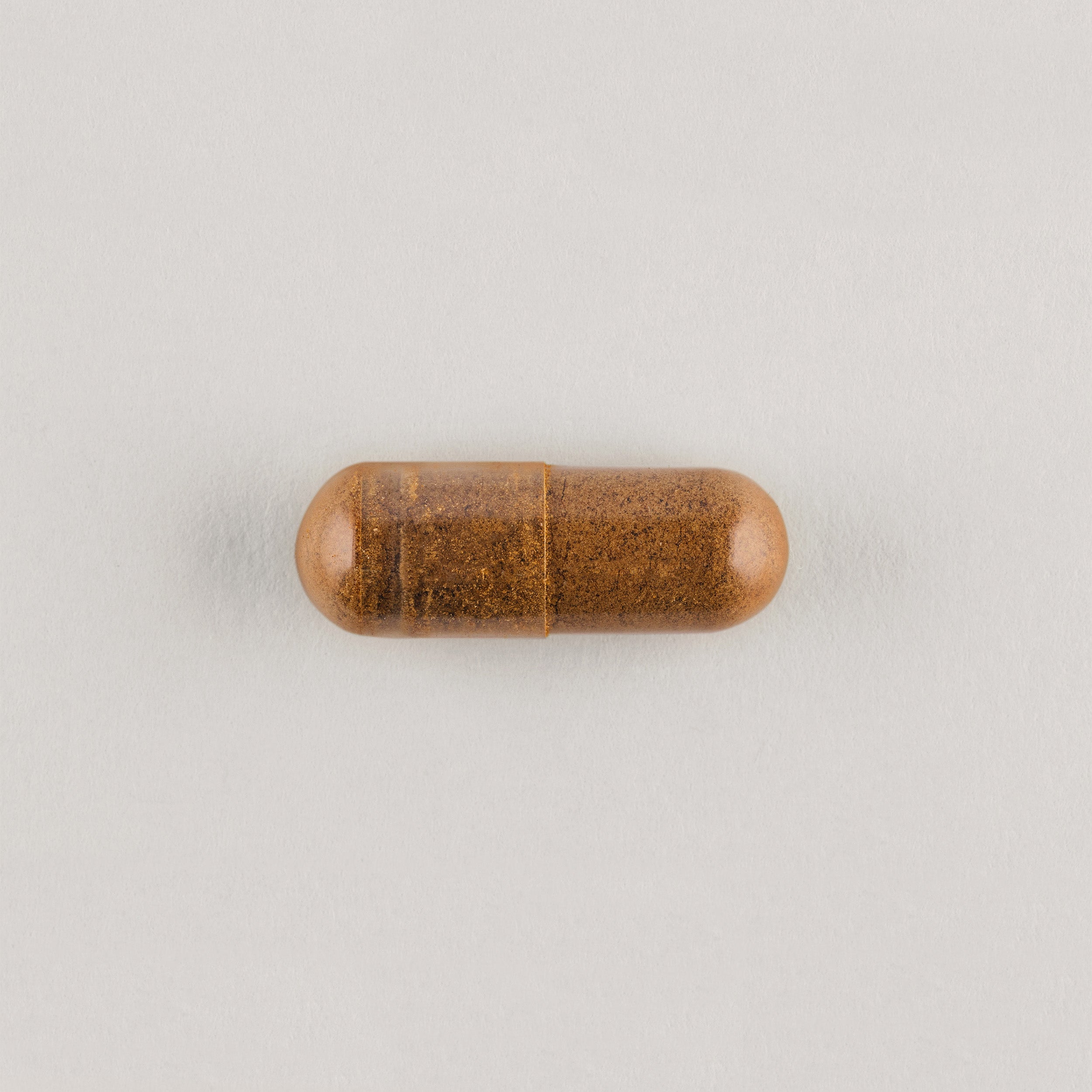 Awde Cordyceps / 1200mg / 30 Day Supply - Nutraceutical No. 70 – Awde Alchemy